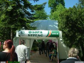 dscf5670.jpg